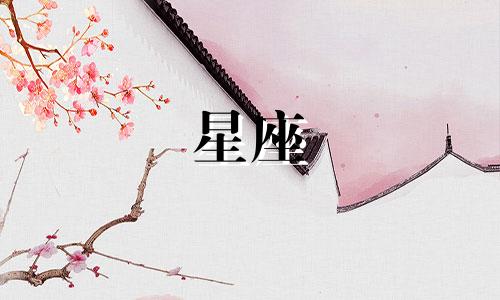 追12星座要多久结束自己