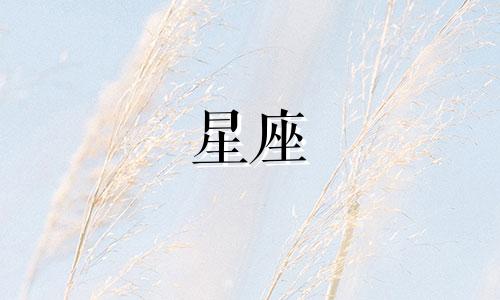 十二星座表白需要多久