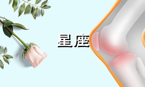 不同星座追女孩能追多久