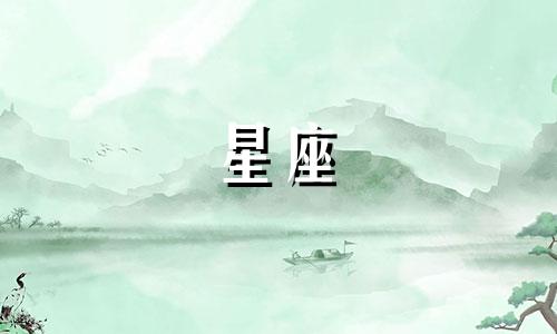 十二星座多久能找对象啊