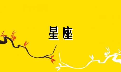 小熊星座多久刷新一次