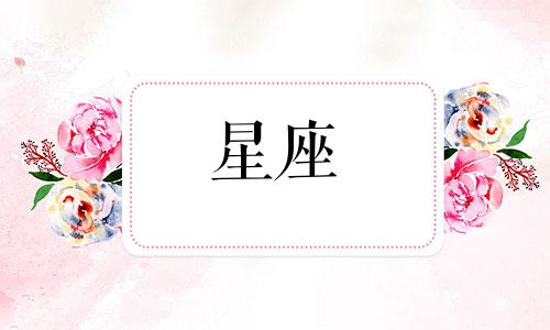 十二星座多久会认爱的呢