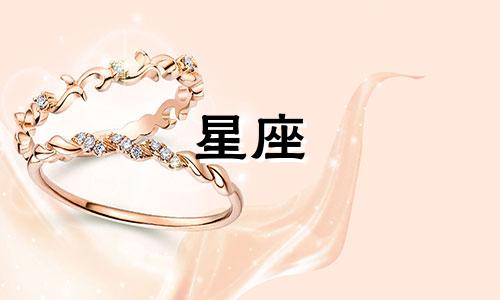 十二星座女生多久追双鱼座