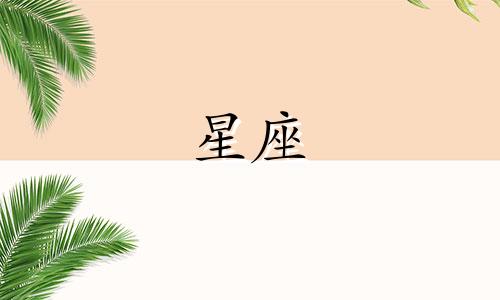 猜星座摩羯女喜欢你多久