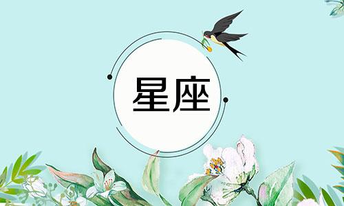 十二星座感情走出来要多久