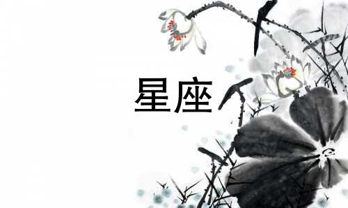 十二星座男认识多久结婚