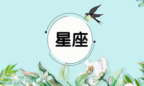 分手后各星座多久出来