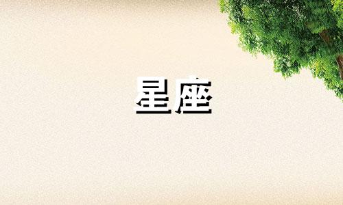 星座占卜要多久才能学会