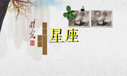 12星座什么时候怀孕多久