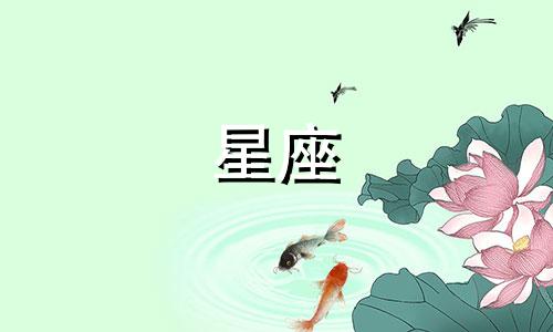 十二星座的好感会坚持多久