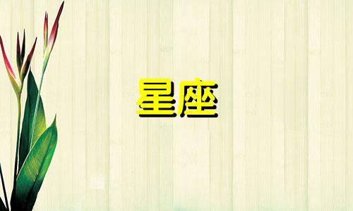 十二星座恋爱多久见父母