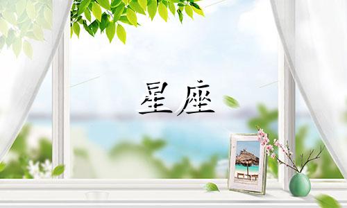 星座女生追男生多久能成功