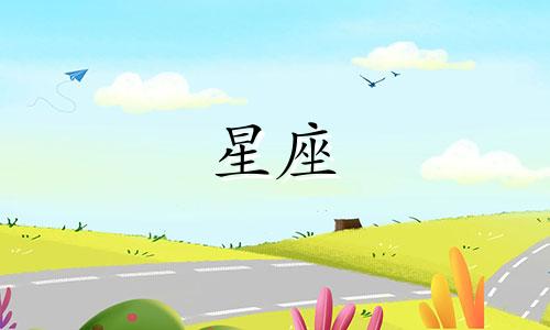 十二星座情感保质期多久