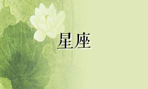 12星座会爱你多久会离婚