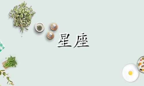 十二星座追人多久会放下