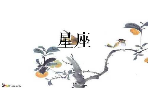 小狮子星座系列多久有的