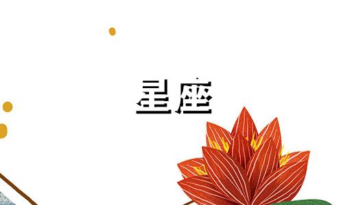 深圳玫瑰星座出片要多久