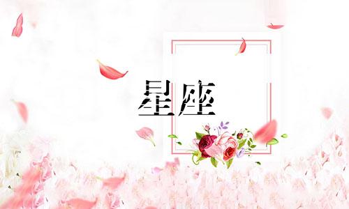 玫瑰星座修图重修要多久