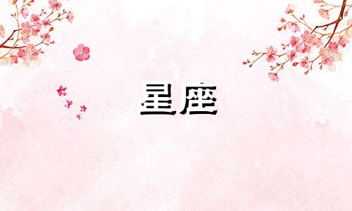 小野星座烟杆能用多久