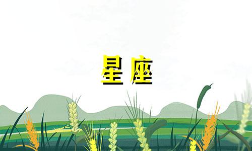 十二星座可以爱你多久