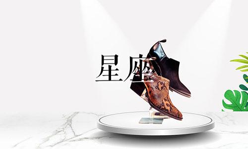 走进十二星座的心需要多久蛋壳