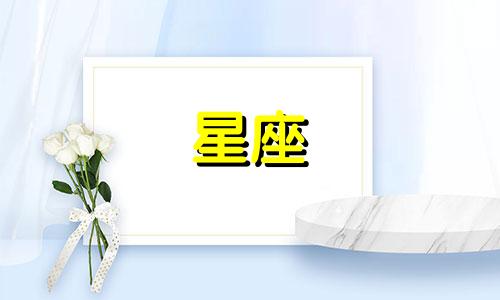 十二星座玩手机多久一次