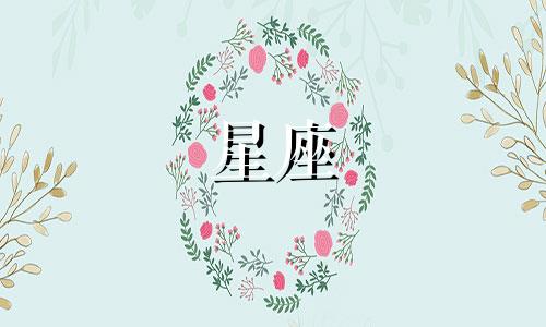 新建到星座酒店要多久才能到