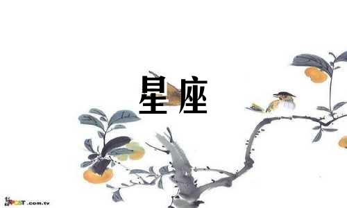 12星座的异地恋能撑多久