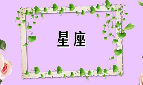 十二星座追人多久一次