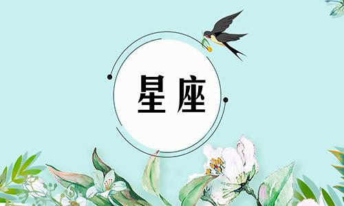 十二星座多久分手一次女生