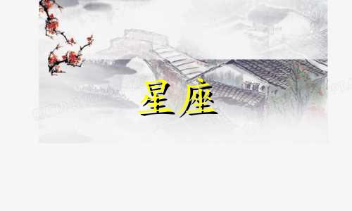 十二星座追人多久一次最好