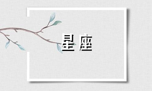 12星座多久没联系我一次