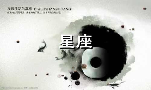 十二星座追人多久一次真爱