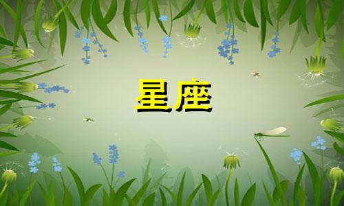 12星座谈恋爱多久想结婚