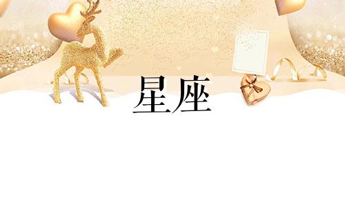 一个星座会追人多久呢
