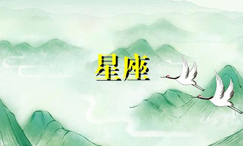 十二星座追爱而不得多久才会死心