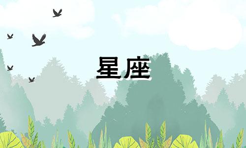 各个星座暗恋人会多久在一起
