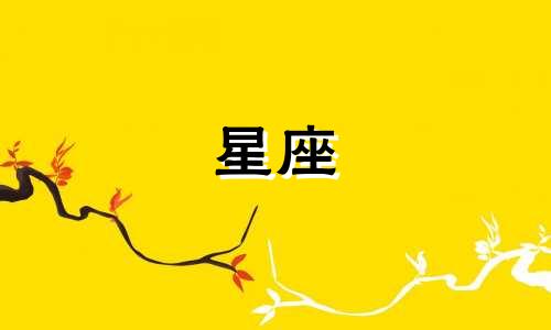 一辈子伪装多久的星座