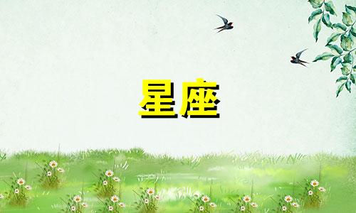做粉丝星座手账要多久才能做完