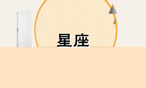 小熊星座是多久出来的动画片