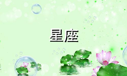 十二星座恋爱一般多久一次