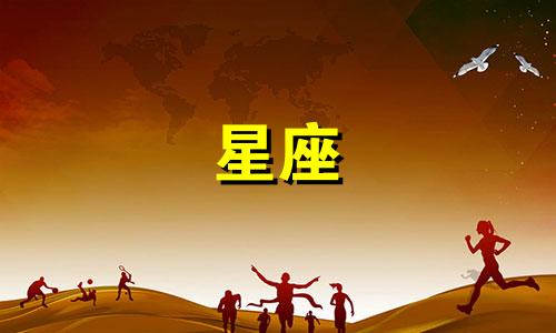 十二星座多久官宣一个人