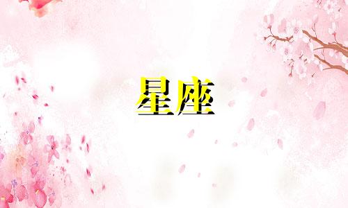 追12星座多久没成就可以放弃了