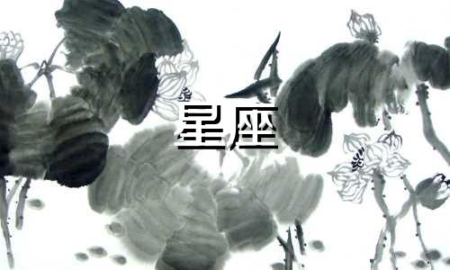 各星座喜欢一个人聊天多久
