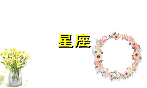 十二星座追一个人坚持多久