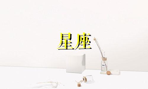 各个星座会喜欢一个人多久
