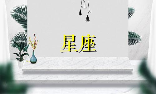 星座爱一个人能坚持多久