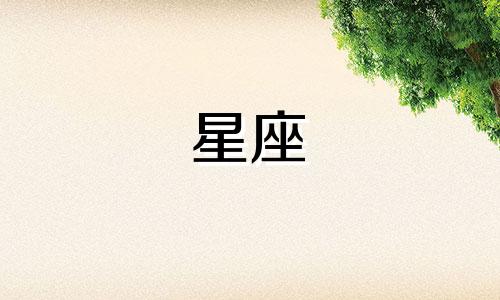 十二星座会陪一个人多久