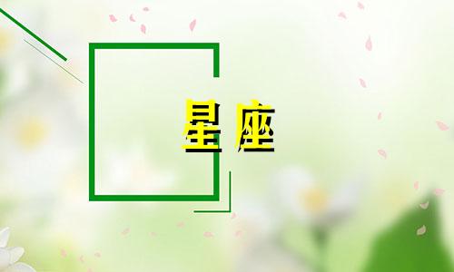 十二星座用多久忘掉一个人