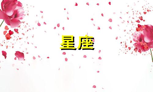 忘掉一个人各星座需要多久